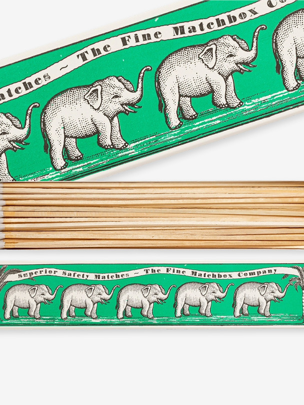 les éléphants matches de long vert