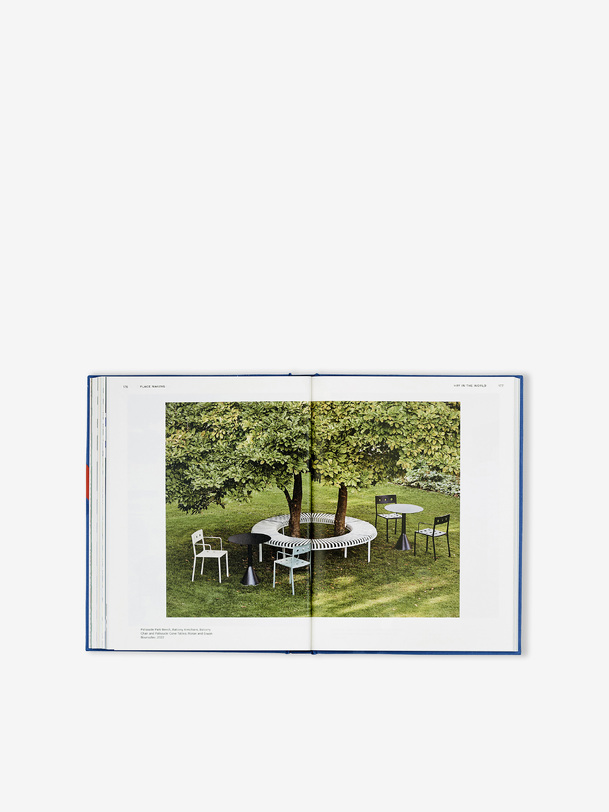 livre de foin phaidon - hay bleu