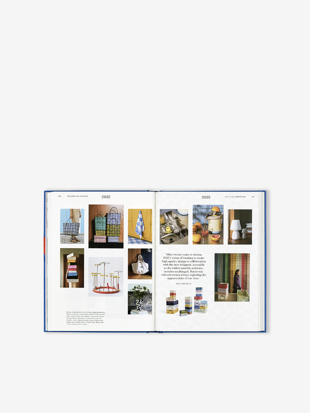livre de foin phaidon - hay bleu